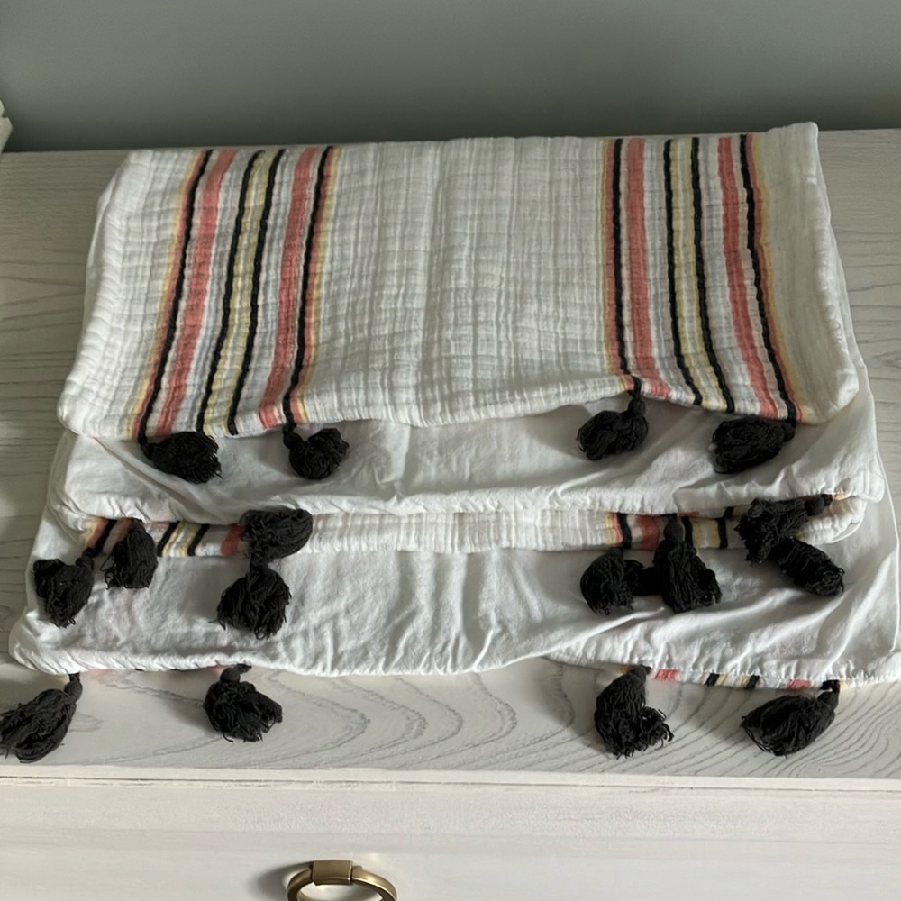 Pair of Roxy x Pottery Barn Teen striped tassel pillow shams